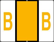 Buchstabenetikett (gross) "B", Farbe hellorange, 500/Rolle